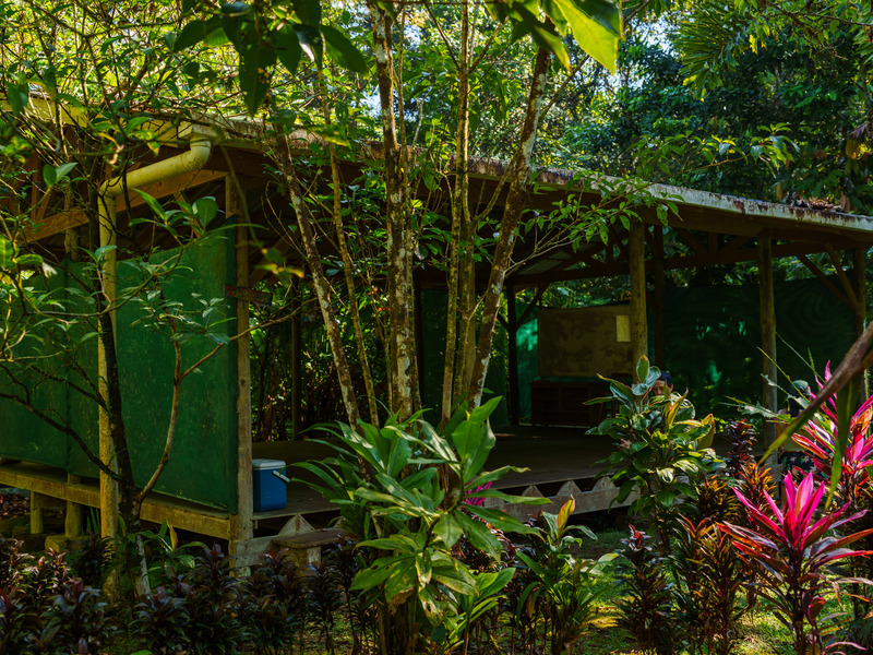 0 bed Land For Sale in Golfito, Puntarenas - hero 6