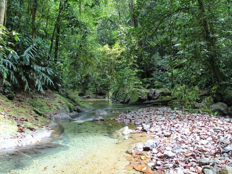 0 bed Land For Sale in Golfito, Puntarenas - hero 11