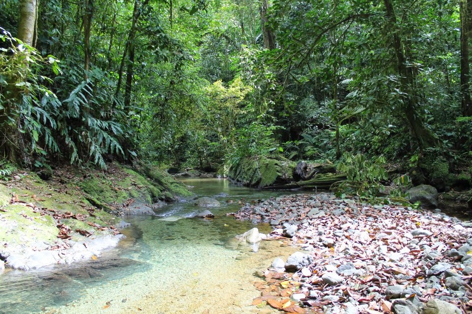 0 bed Land For Sale in Golfito, Puntarenas - thumb 11