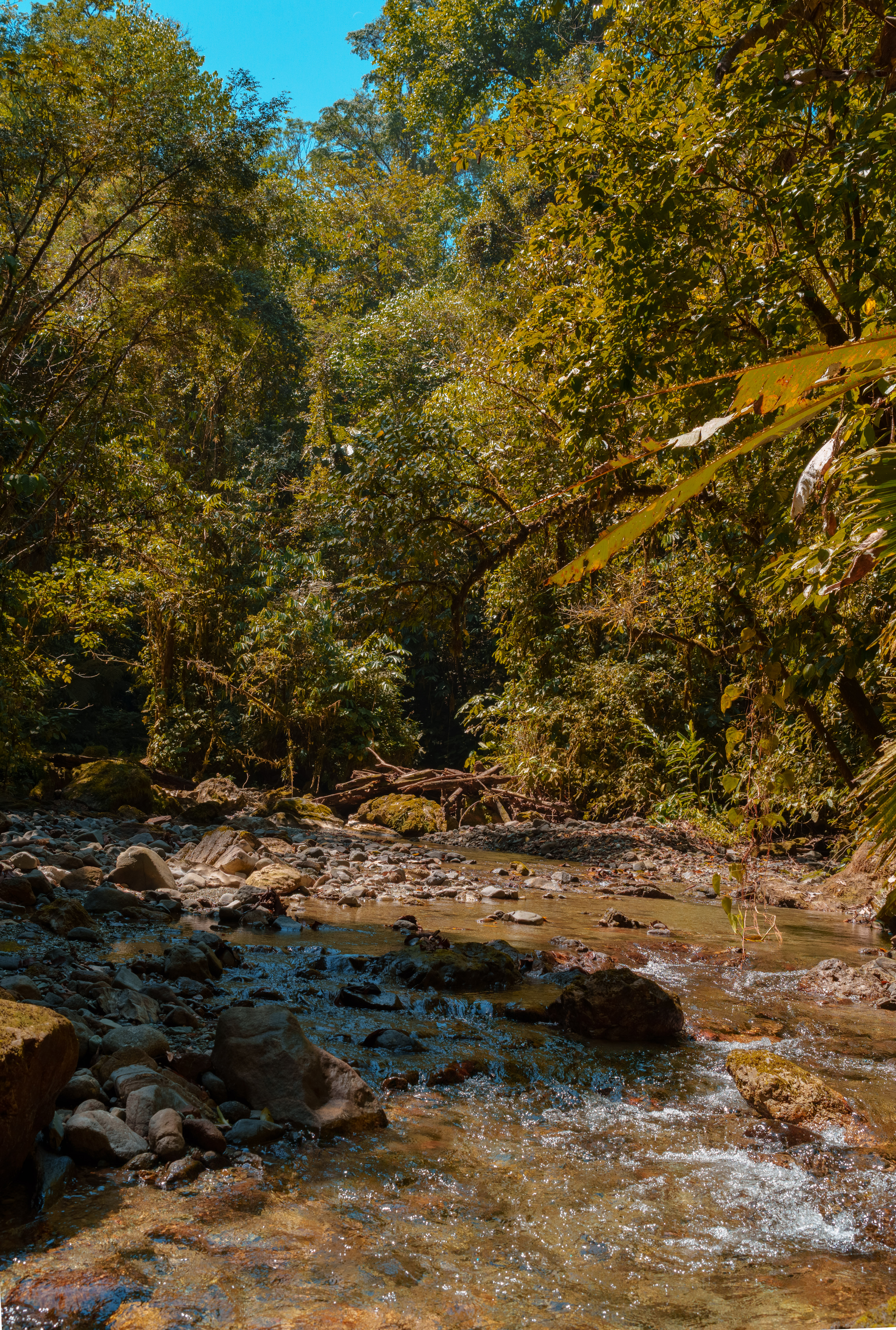 0 bed Land For Sale in Golfito, Puntarenas - thumb 9