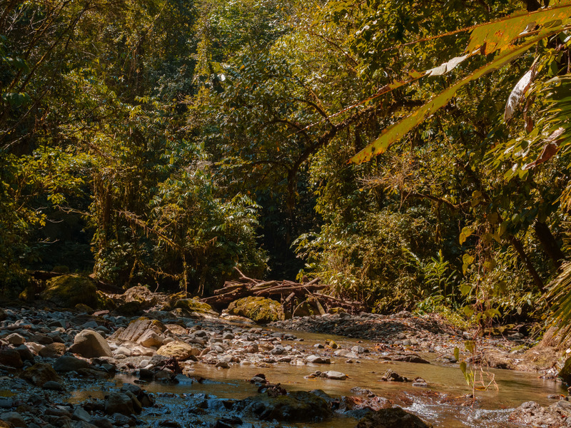 0 bed Land For Sale in Golfito, Puntarenas - hero 9