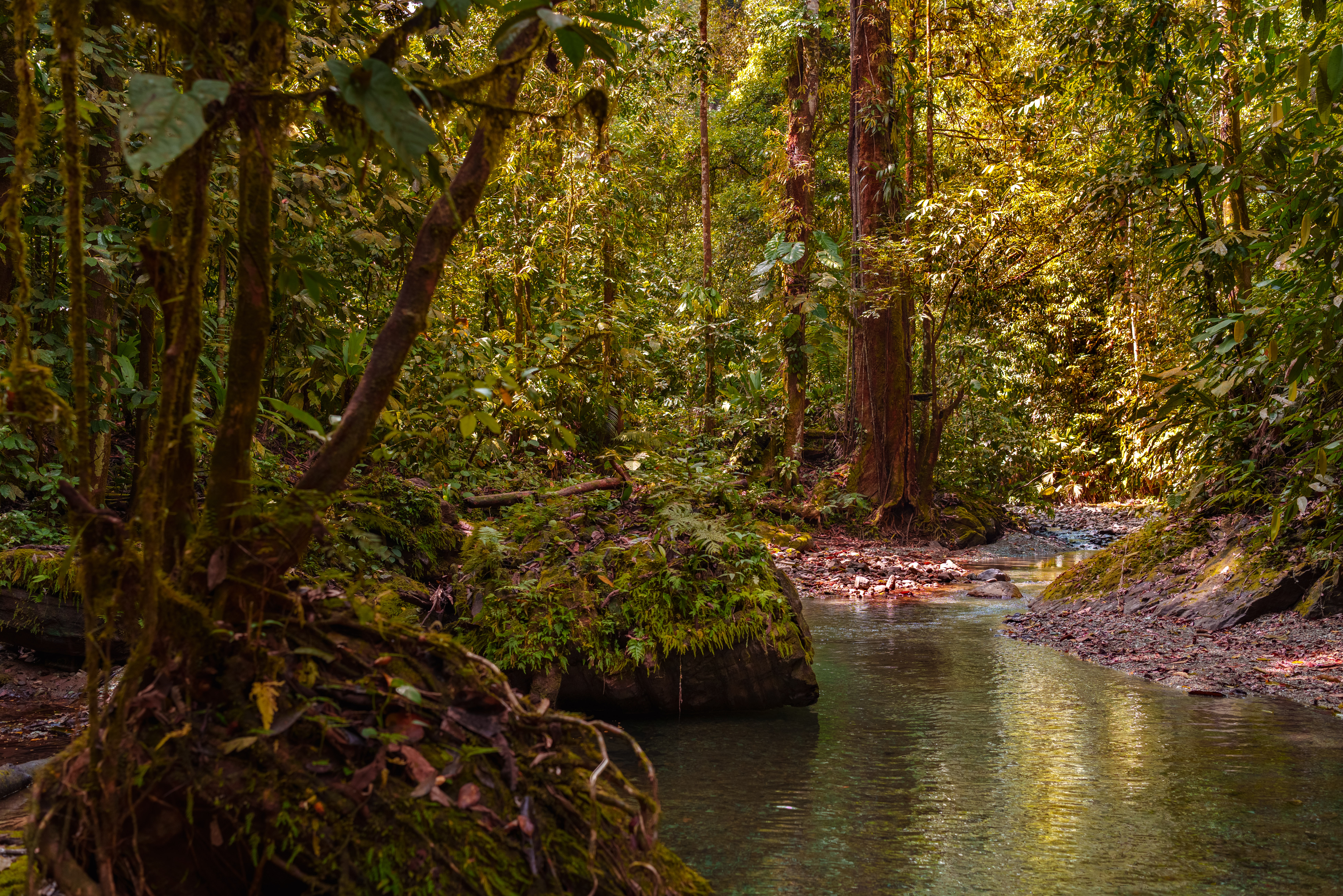 0 bed Land For Sale in Golfito, Puntarenas - thumb 2