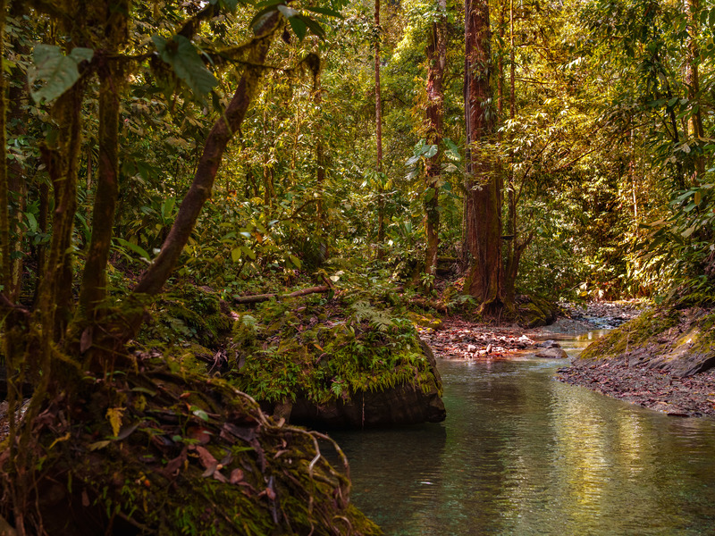 0 bed Land For Sale in Golfito, Puntarenas - hero 2
