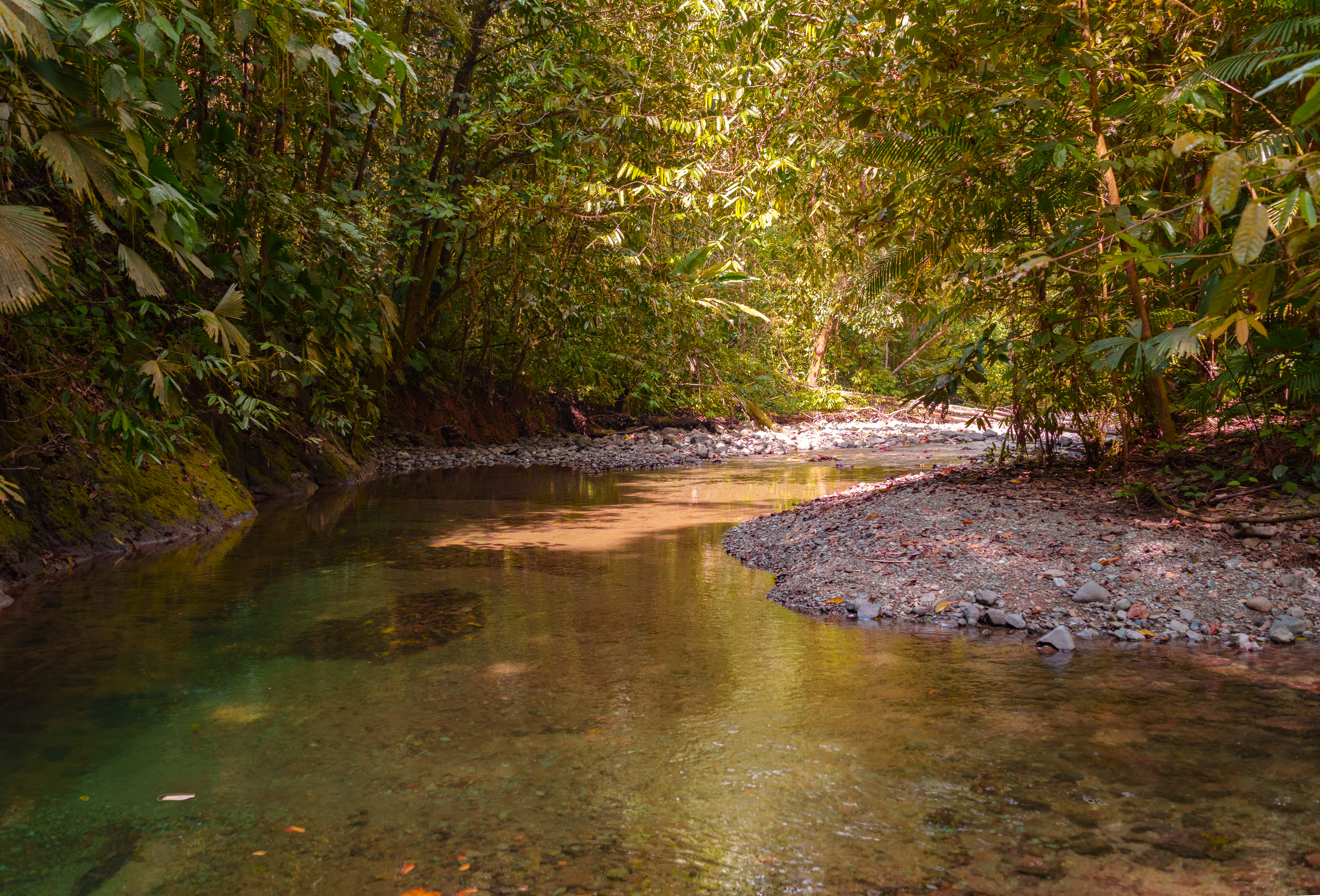 0 bed Land For Sale in Golfito, Puntarenas - thumb 1