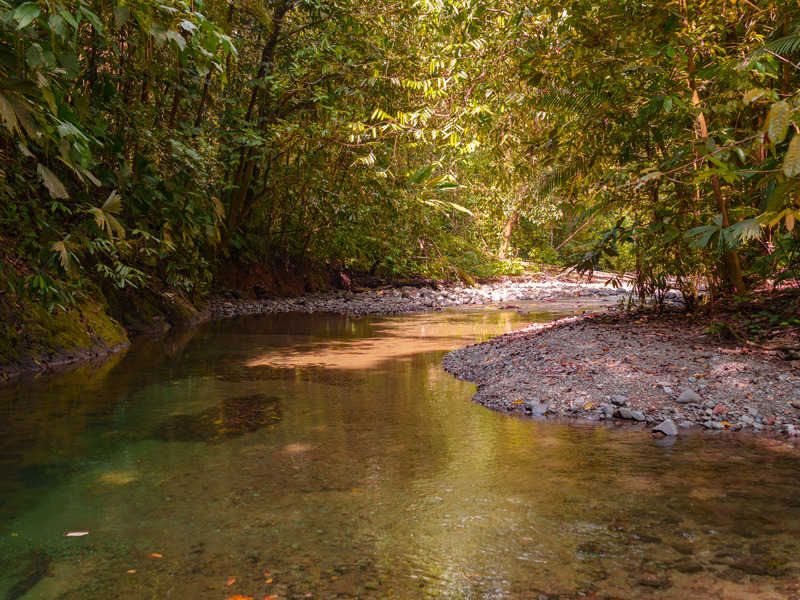 0 bed Land For Sale in Golfito, Puntarenas - 1