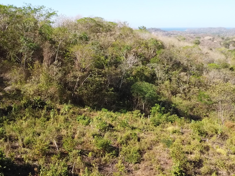 0 bed Land For Sale in Samara, Guanacaste - hero 7
