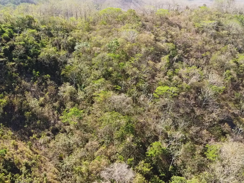 0 bed Land For Sale in Samara, Guanacaste - hero 4