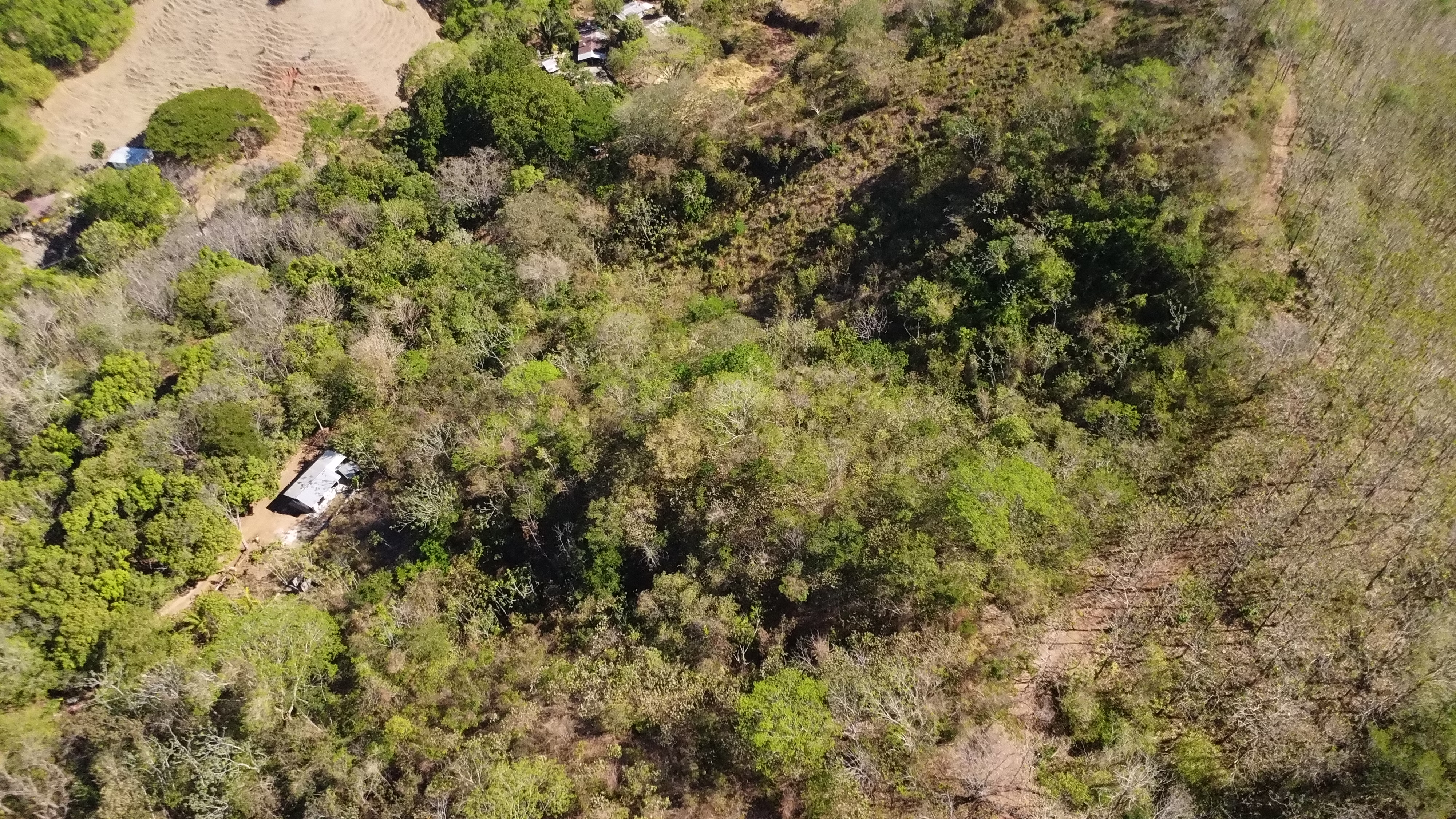 0 bed Land For Sale in Samara, Guanacaste - thumb 16