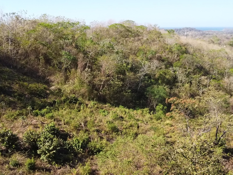 0 bed Land For Sale in Samara, Guanacaste - hero 6