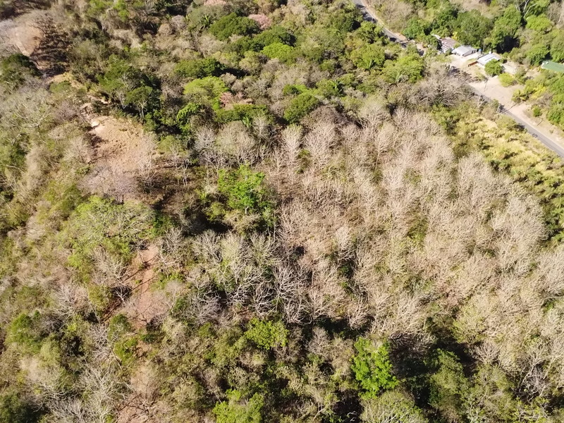 0 bed Land For Sale in Samara, Guanacaste - hero 17