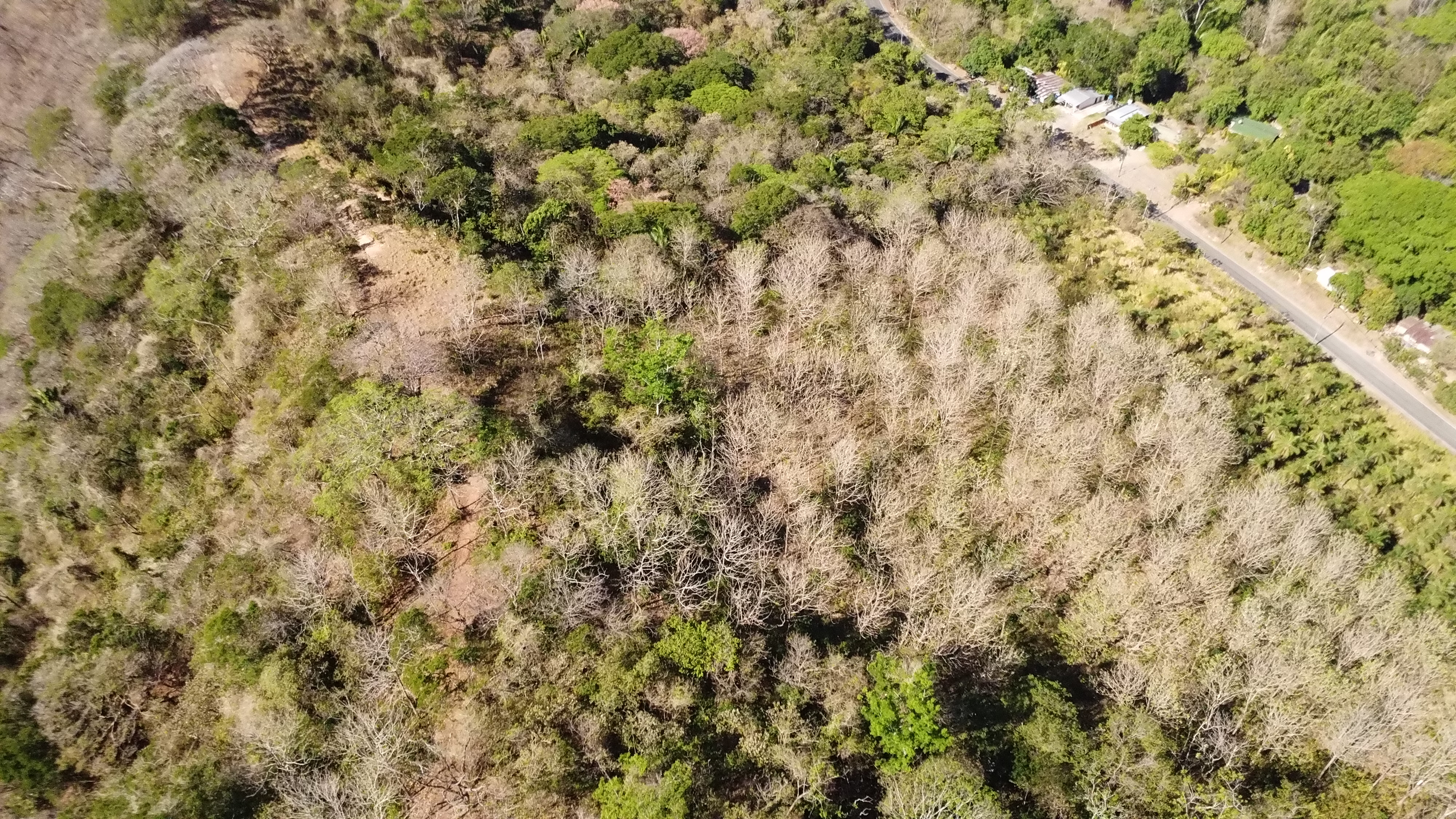 0 bed Land For Sale in Samara, Guanacaste - thumb 17