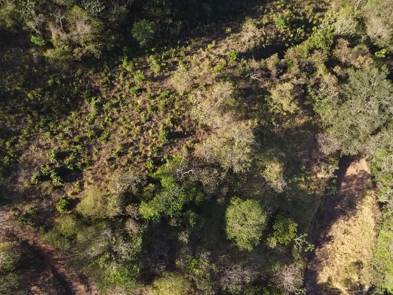 0 bed Land For Sale in Samara, Guanacaste - hero 9