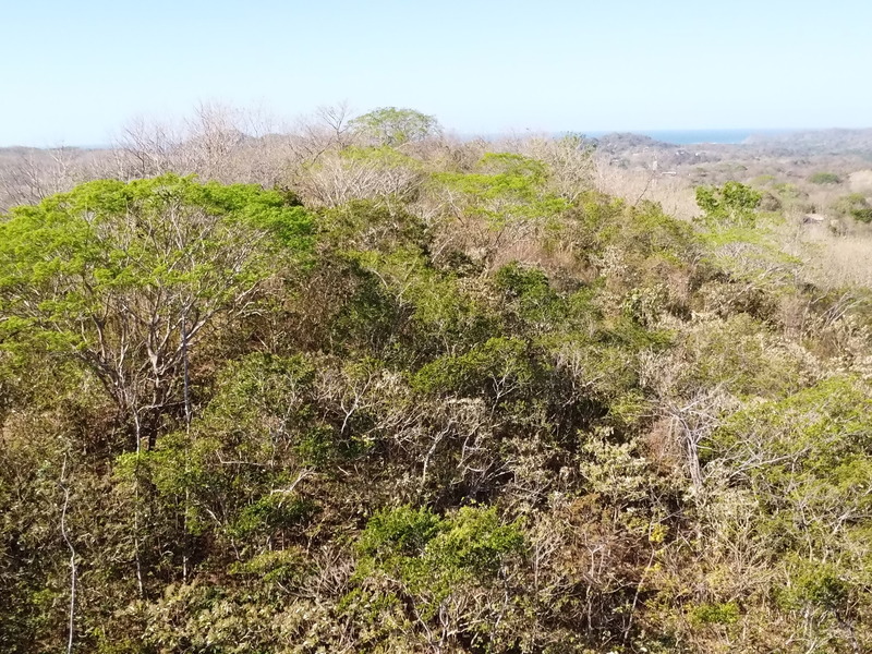 0 bed Land For Sale in Samara, Guanacaste - hero 8