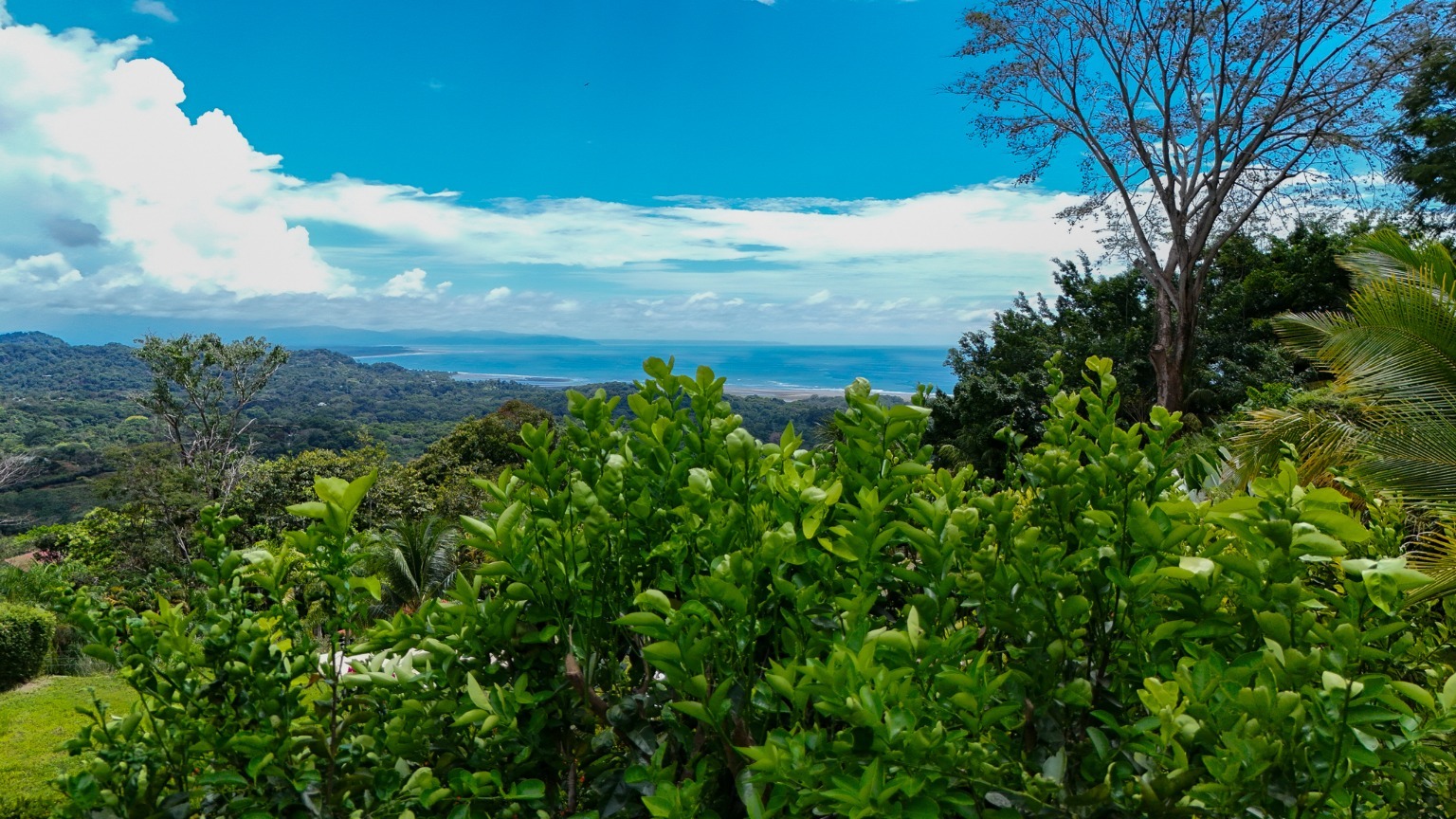 4 bed Single Family Homes For Sale in Ojochal, Puntarenas - thumb 25