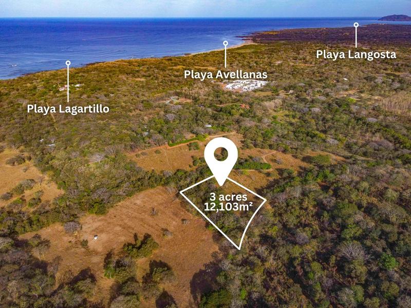 0 bed Land For Sale in Avellanas, Guanacaste - hero 2