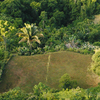  - Top 3 Ocean View in Uvita | 180° Unobstructed