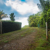  - Top 3 Ocean View in Uvita | 180° Unobstructed