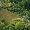  - Top 3 Ocean View in Uvita | 180° Unobstructed