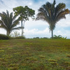  - Top 3 Ocean View in Uvita | 180° Unobstructed