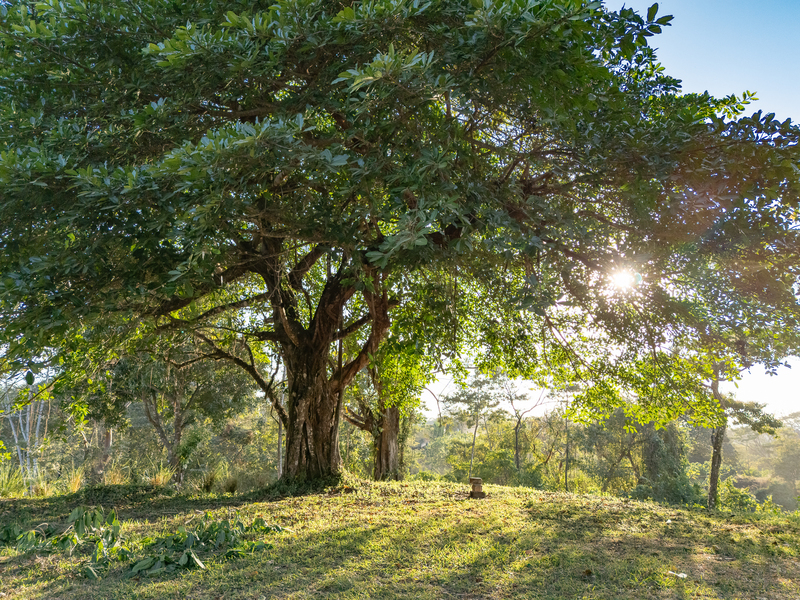 0 bed Land For Sale in Cobano, Puntarenas - hero 3