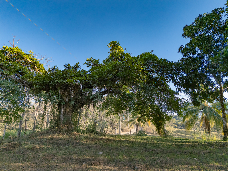 0 bed Land For Sale in Cobano, Puntarenas - hero 4