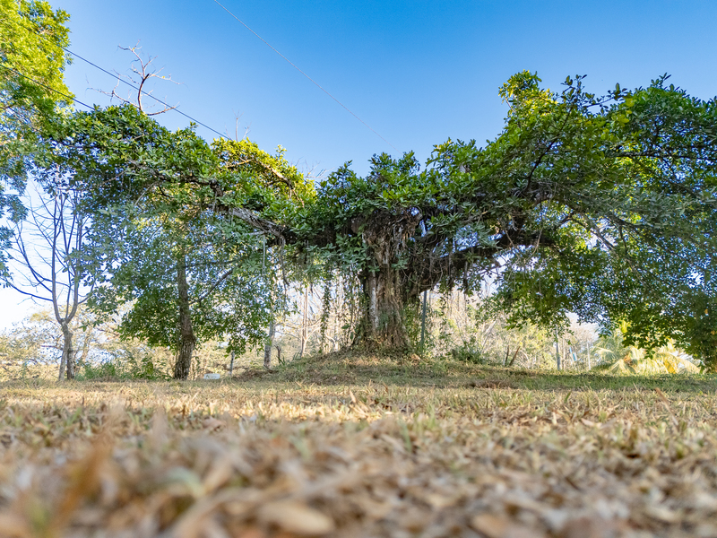0 bed Land For Sale in Cobano, Puntarenas - hero 5