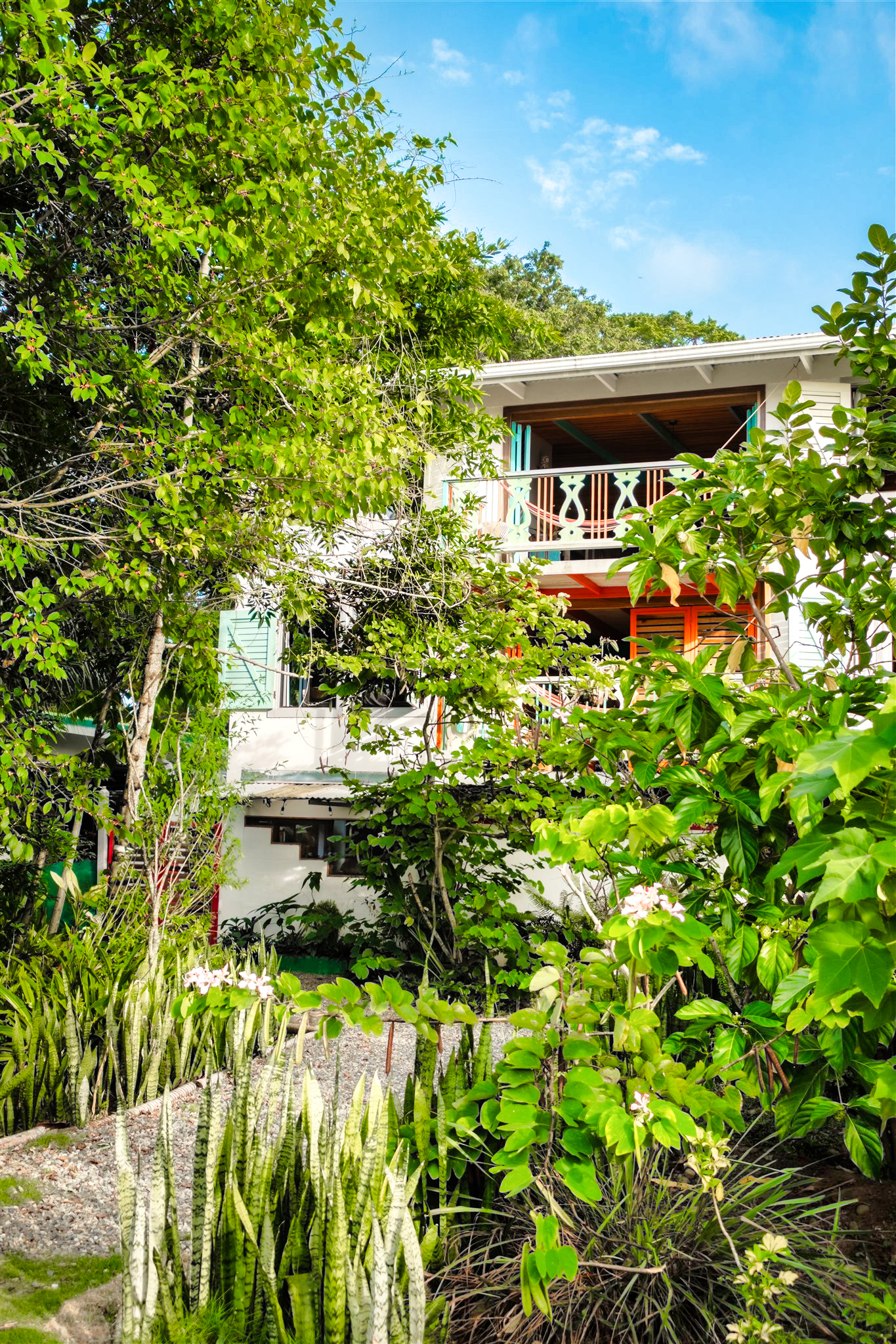 6 bed Single Family Homes For Sale in Puerto Viejo, Limón - thumb 2