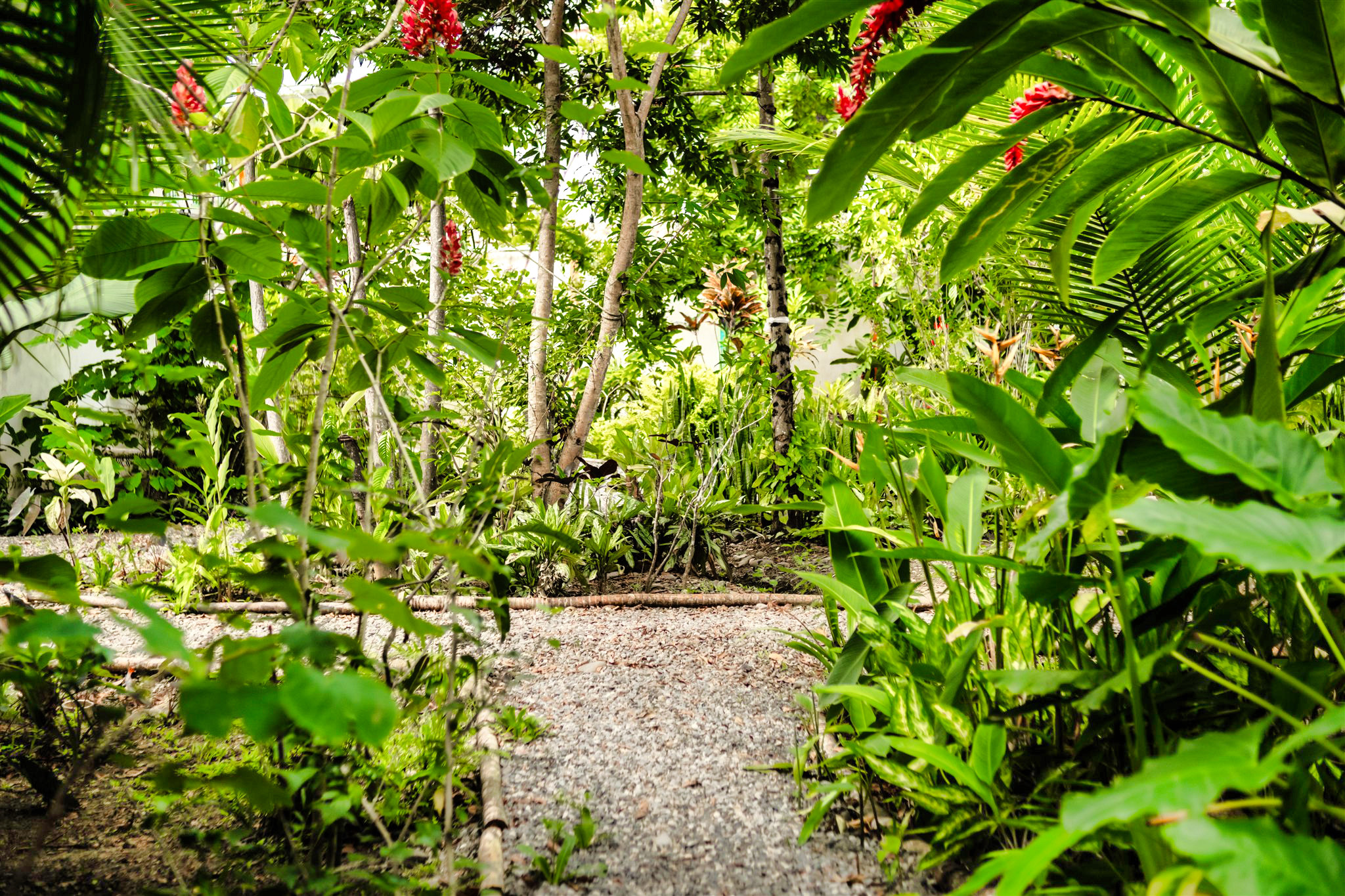 6 bed Single Family Homes For Sale in Puerto Viejo, Limón - thumb 7