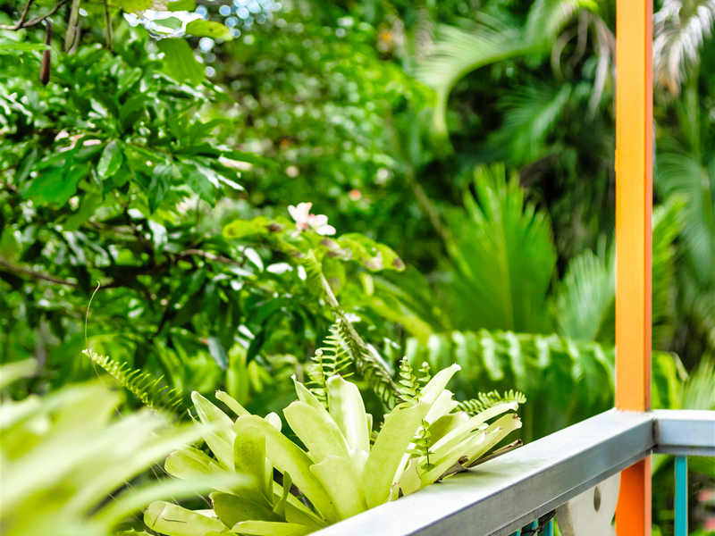 6 bed Single Family Homes For Sale in Puerto Viejo, Limón - hero 9