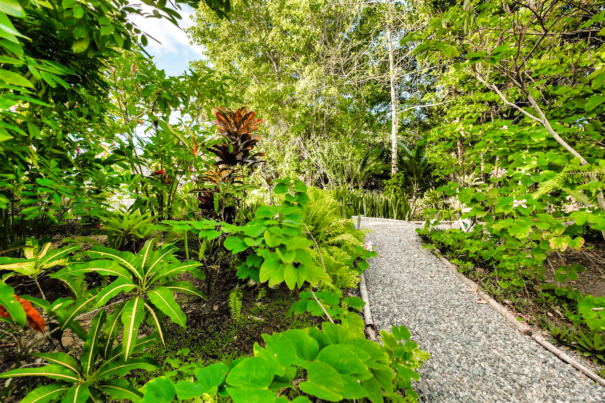 6 bed Single Family Homes For Sale in Puerto Viejo, Limón - thumb 5