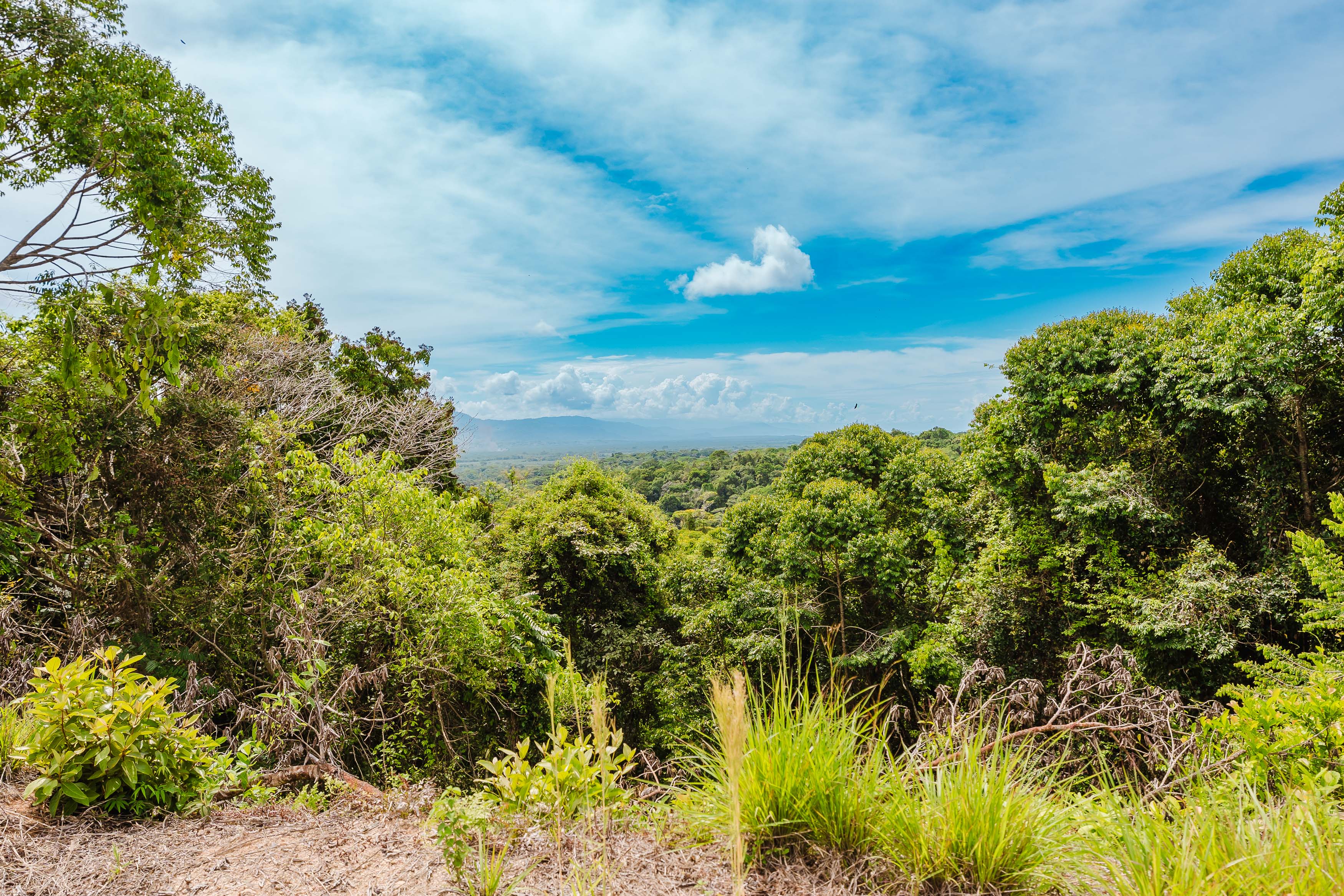 0 bed Land For Sale in Manuel Antonio, Puntarenas - thumb 12