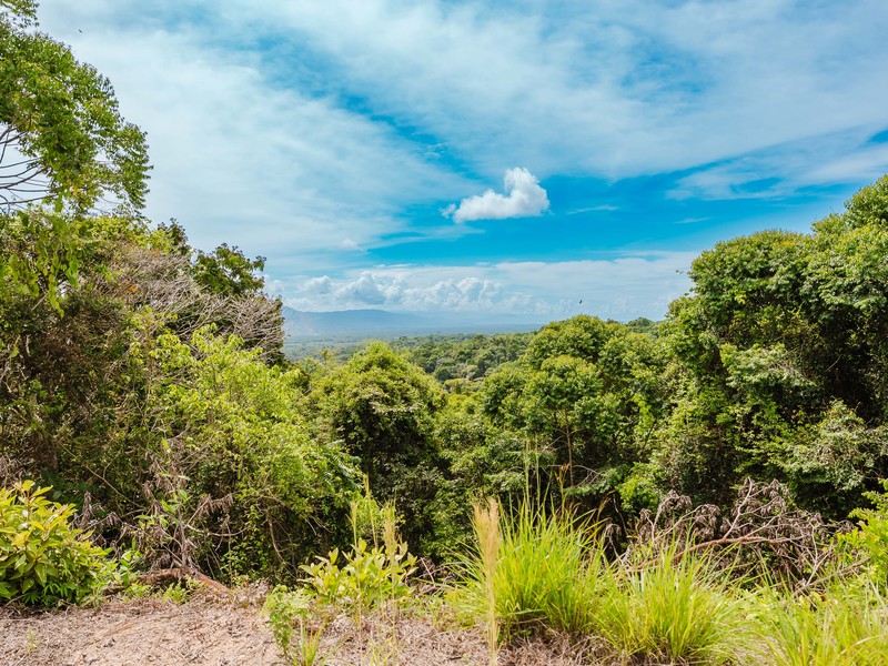 0 bed Land For Sale in Manuel Antonio, Puntarenas - hero 12
