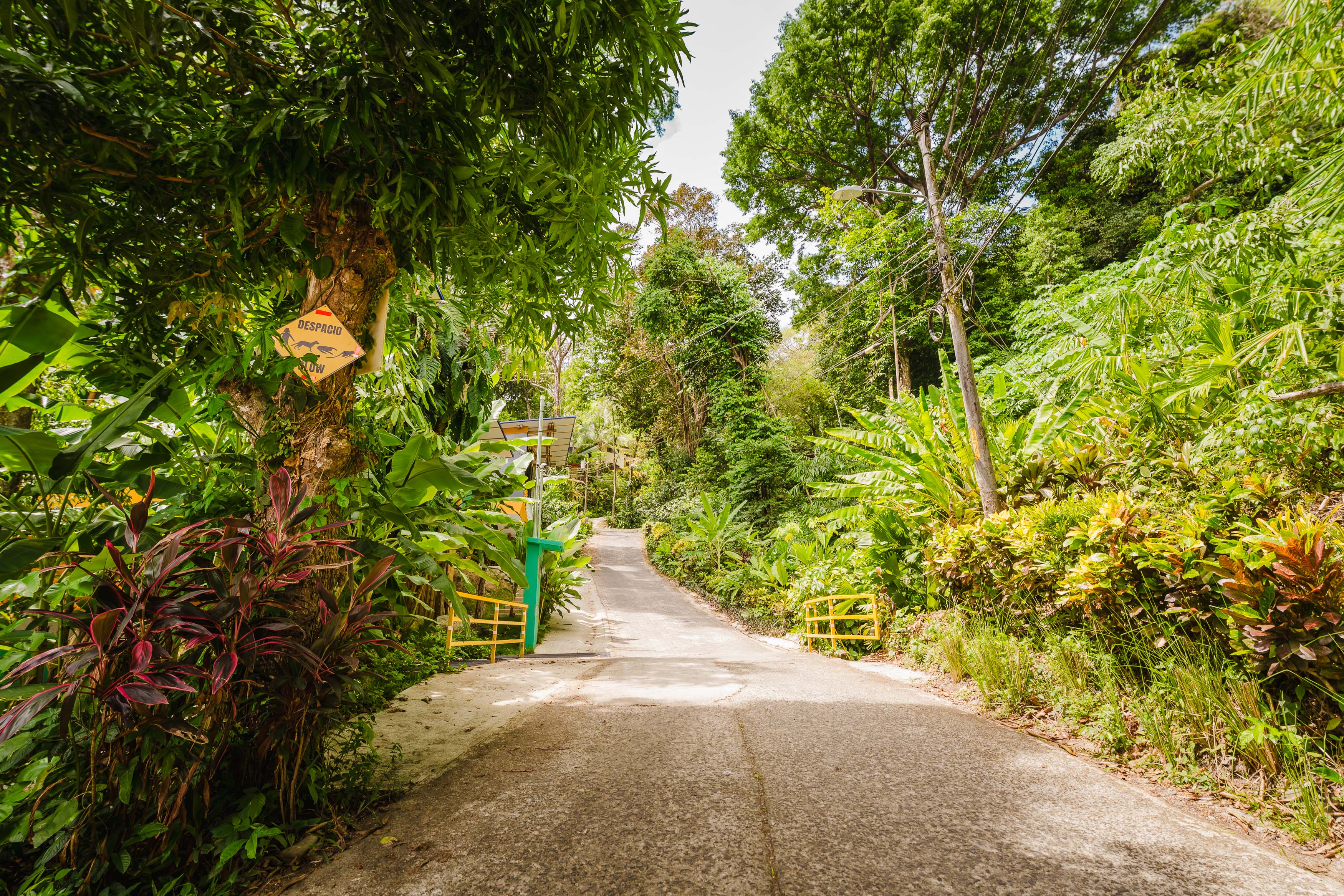 0 bed Land For Sale in Manuel Antonio, Puntarenas - thumb 27