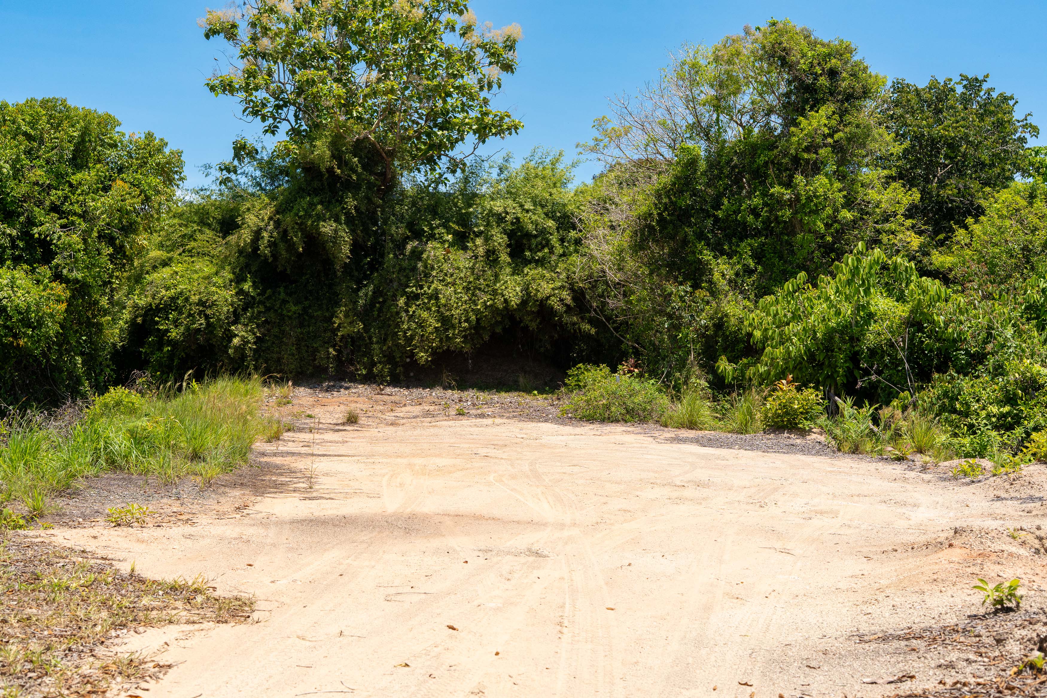 0 bed Land For Sale in Manuel Antonio, Puntarenas - thumb 6