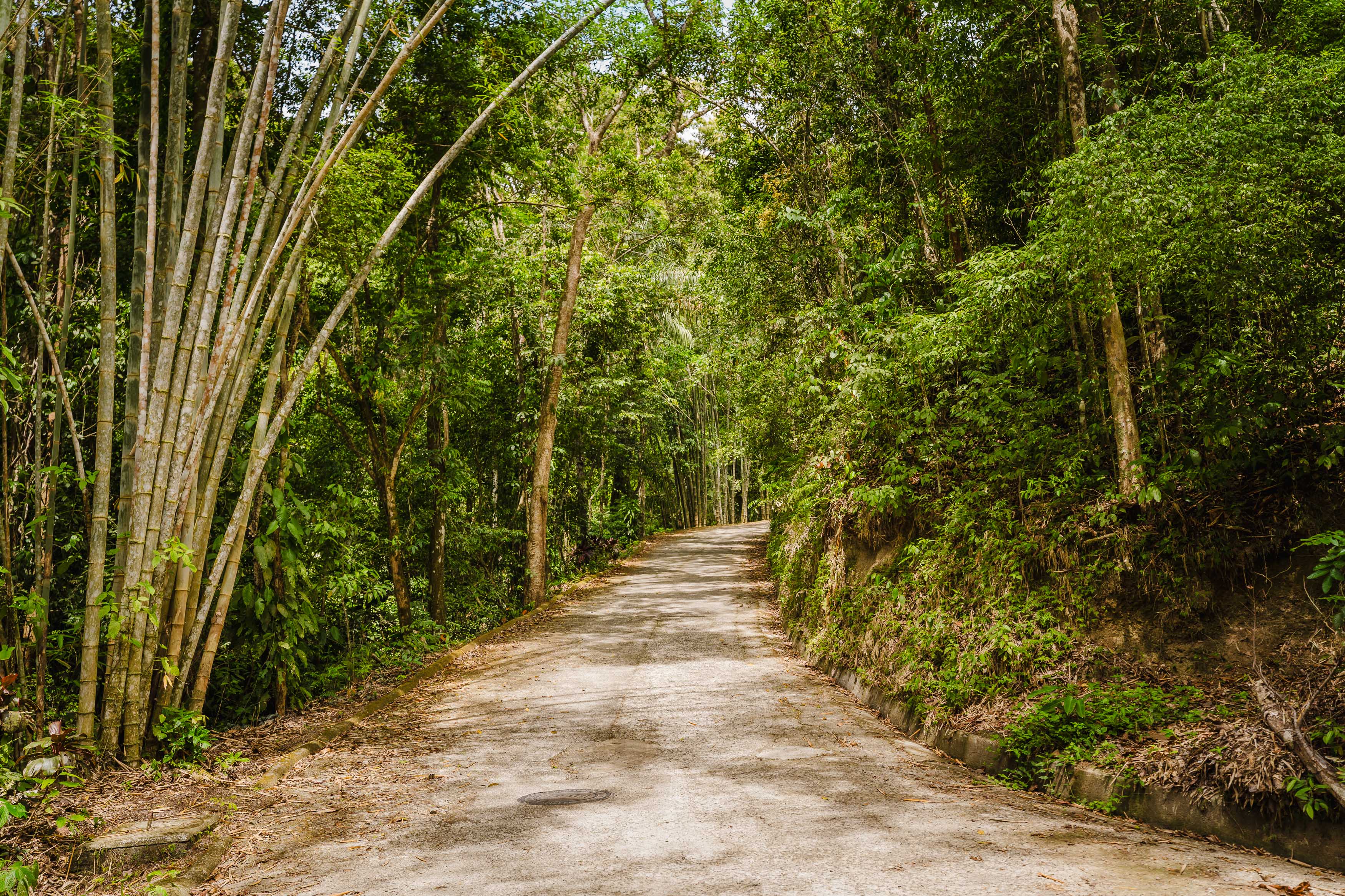 0 bed Land For Sale in Manuel Antonio, Puntarenas - thumb 26