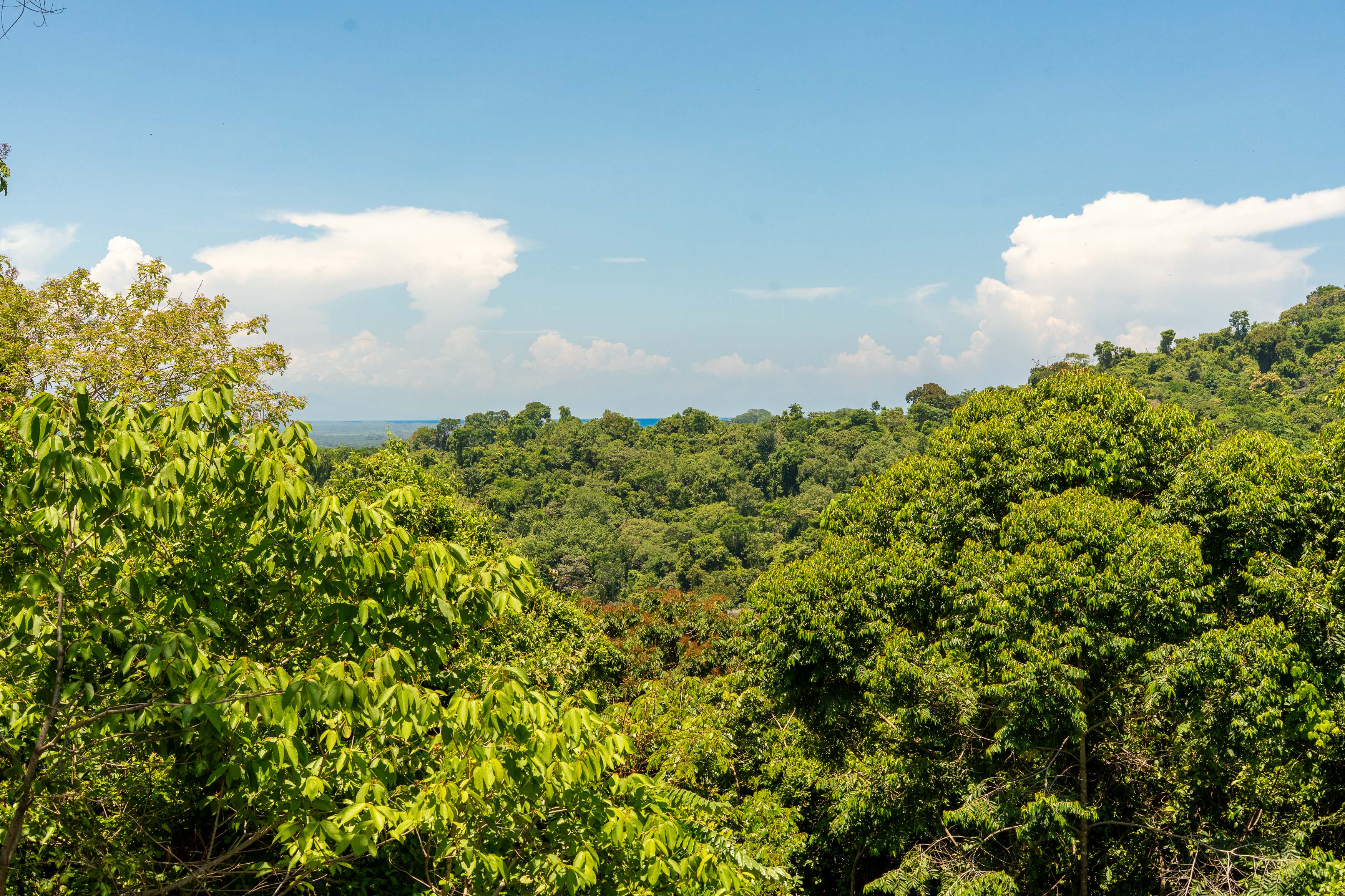 0 bed Land For Sale in Manuel Antonio, Puntarenas - thumb 14