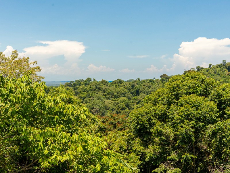0 bed Land For Sale in Manuel Antonio, Puntarenas - hero 14