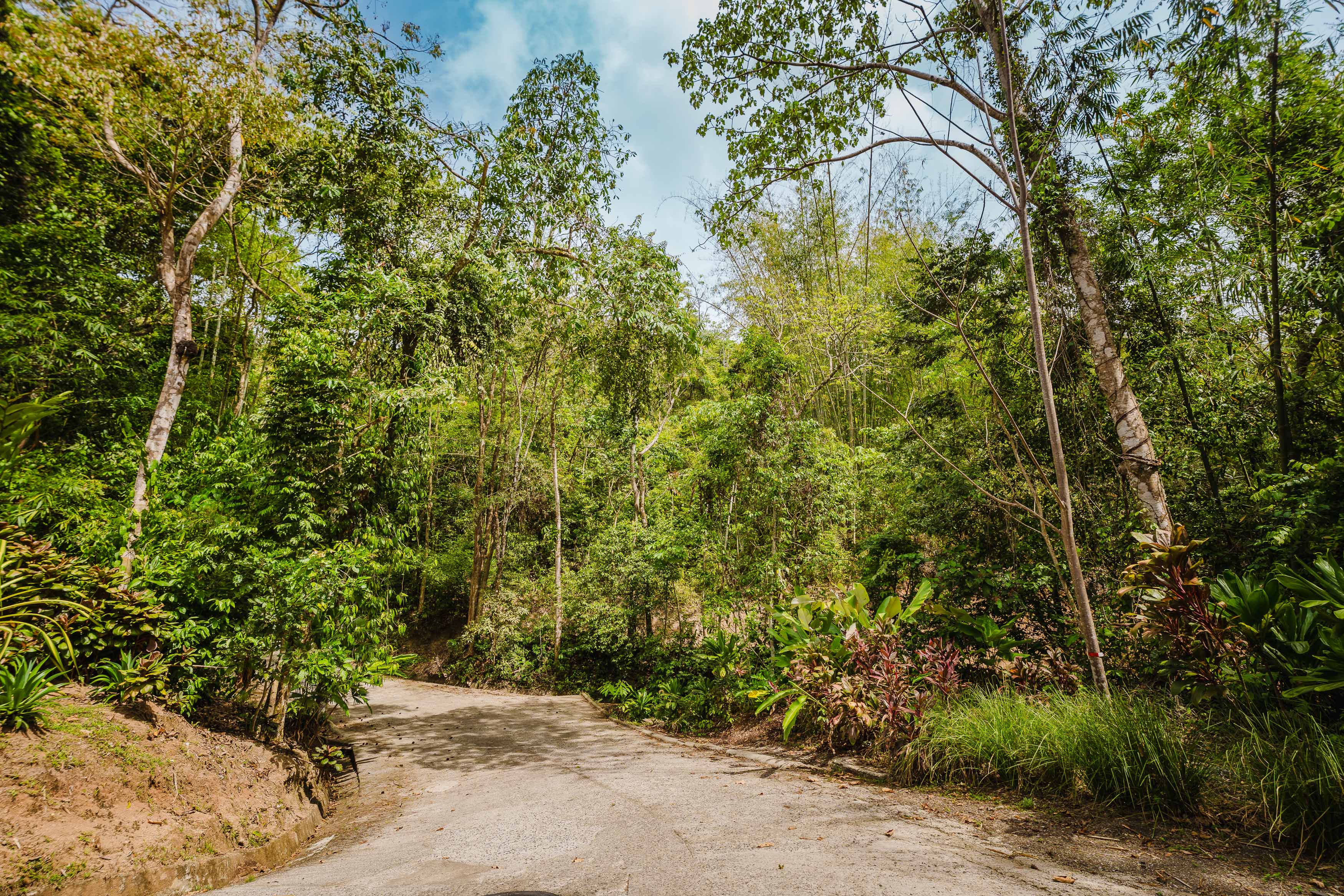 0 bed Land For Sale in Manuel Antonio, Puntarenas - thumb 25