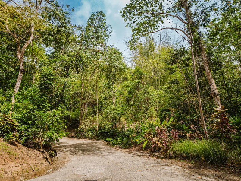 0 bed Land For Sale in Manuel Antonio, Puntarenas - hero 25
