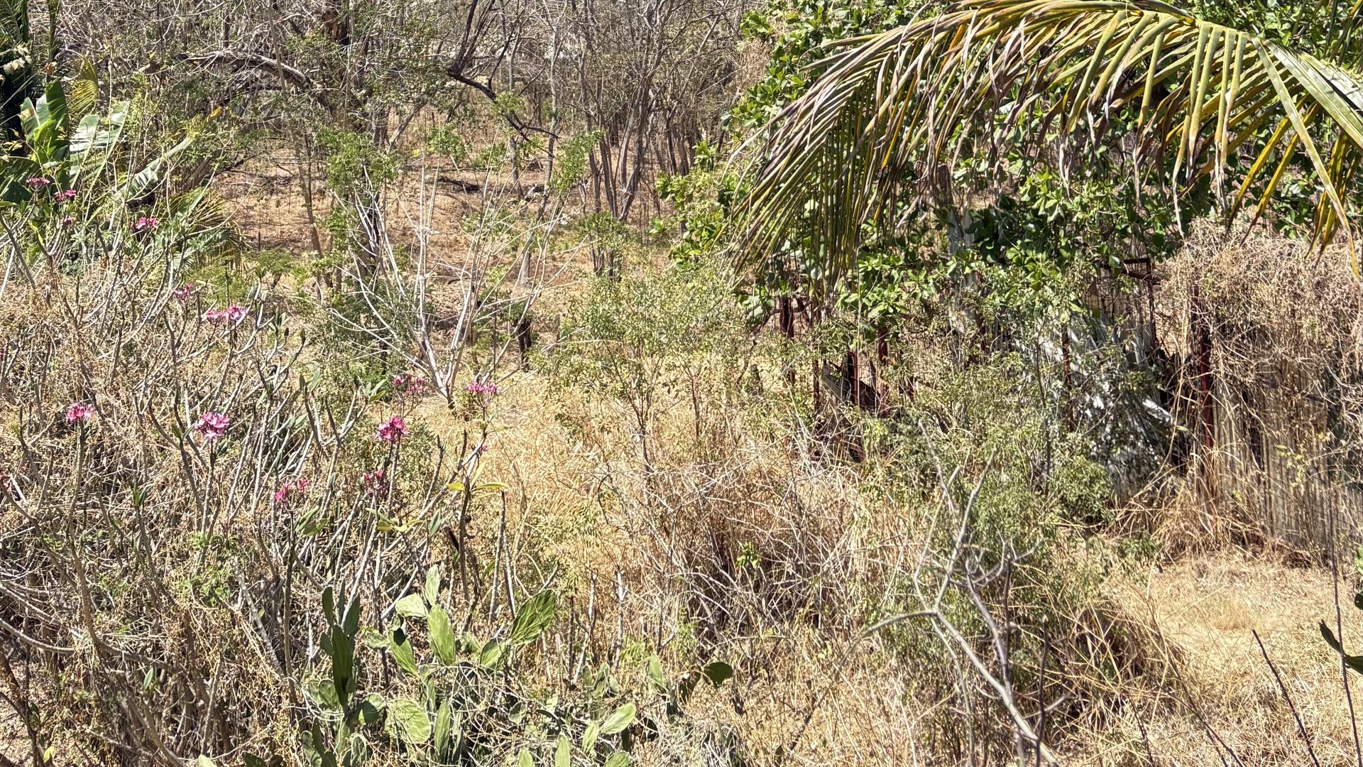 8 bed Single Family Homes For Sale in Tamarindo, Guanacaste - thumb 11