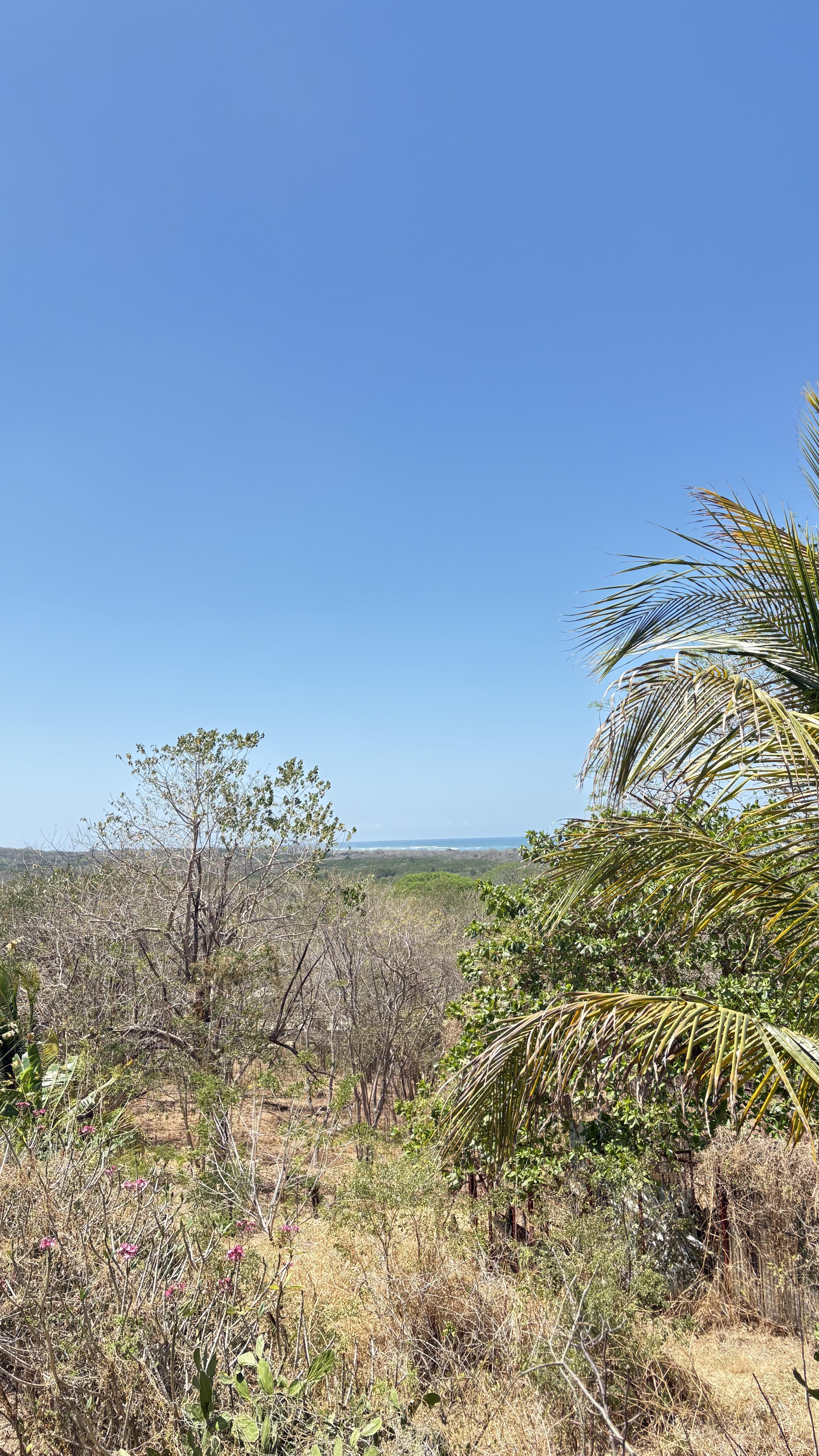 8 bed Single Family Homes For Sale in Tamarindo, Guanacaste - thumb 12