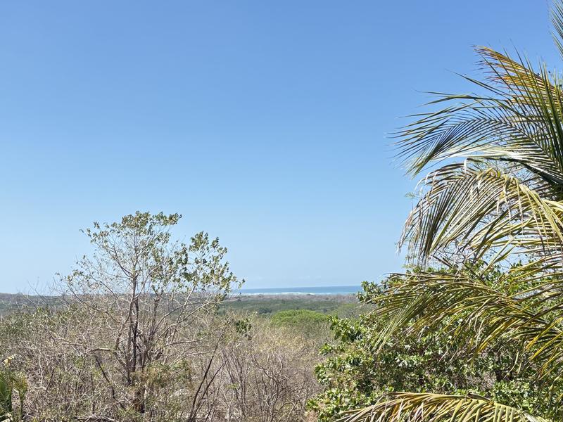 8 bed Single Family Homes For Sale in Tamarindo, Guanacaste - hero 12