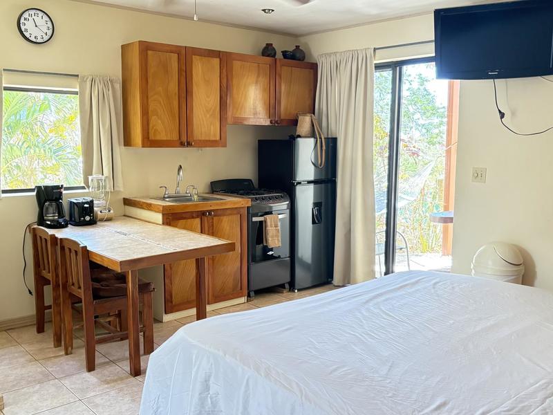 8 bed Single Family Homes For Sale in Tamarindo, Guanacaste - hero 4