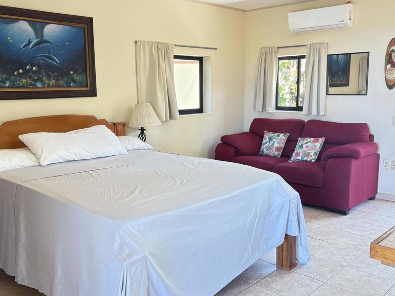 8 bed Single Family Homes For Sale in Tamarindo, Guanacaste - hero 6