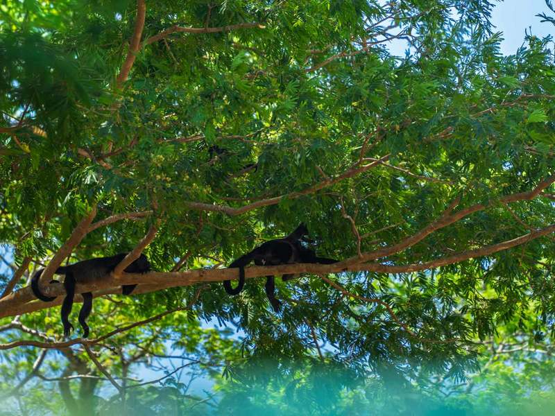 3 bed Single Family Homes For Sale in Tamarindo, Guanacaste - hero 20