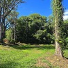  - River and Jungle Lot in Ventanas bordering public road