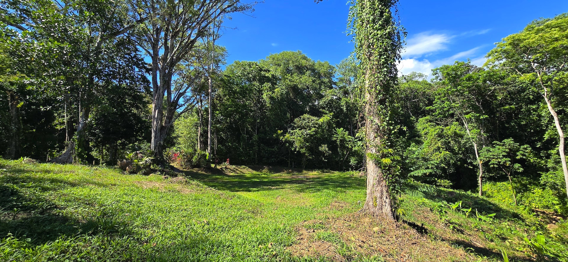 0 bed Land For Sale in Ojochal, Puntarenas - thumb 4