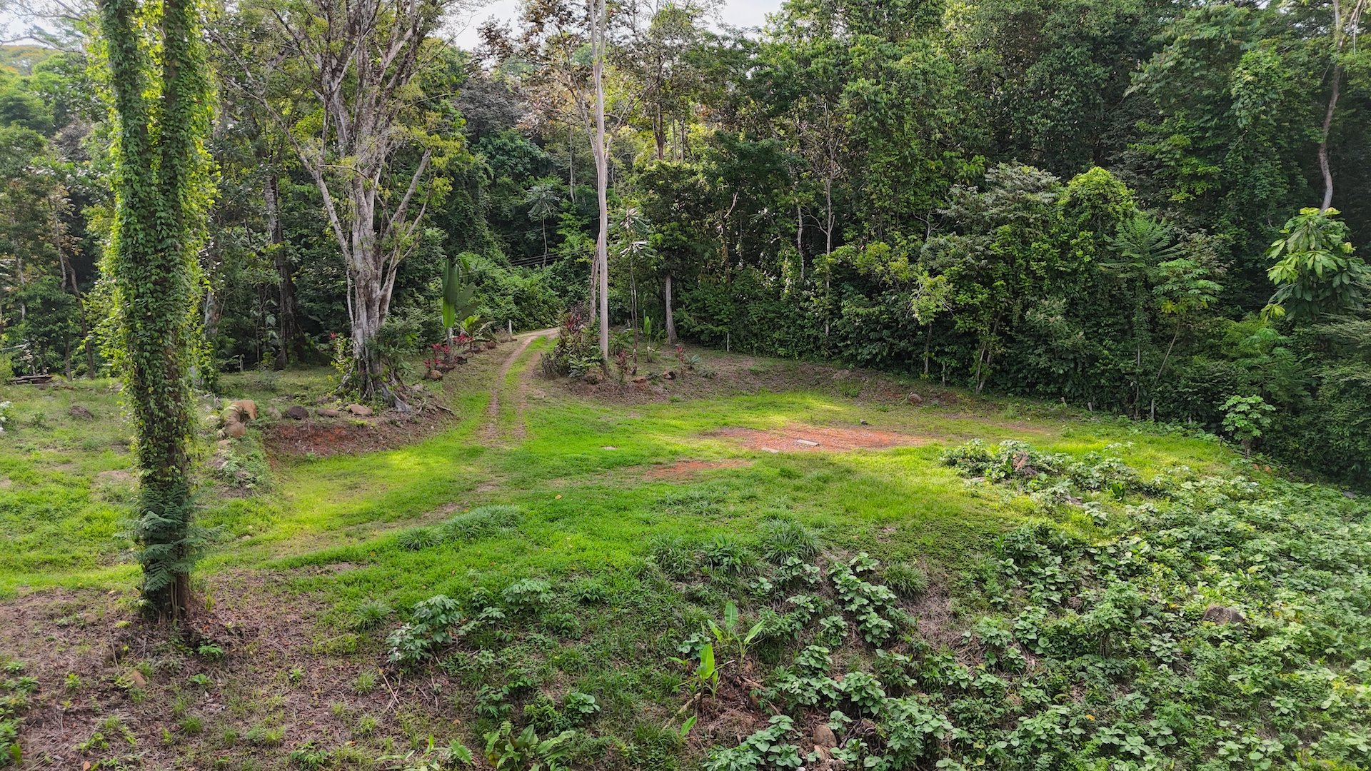 0 bed Land For Sale in Ojochal, Puntarenas - thumb 8