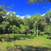  - River and Jungle Lot in Ventanas bordering public road