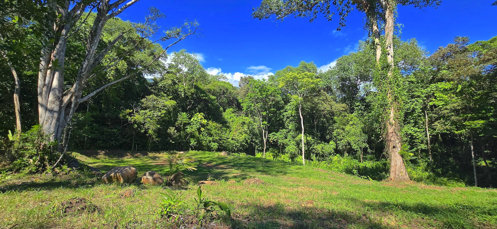 0 bed Land For Sale in Ojochal, Puntarenas - thumb 5